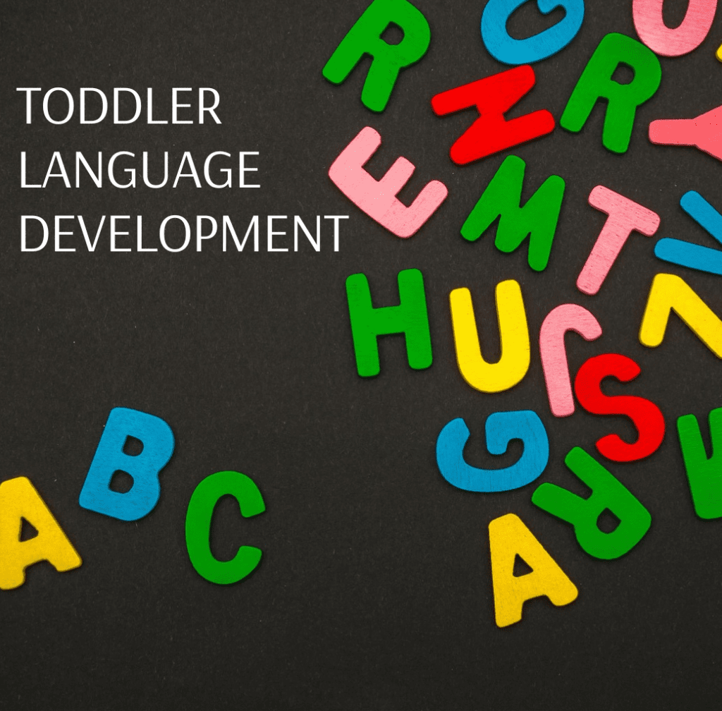 TODDLER LANGUAGE DEVELOPMENT